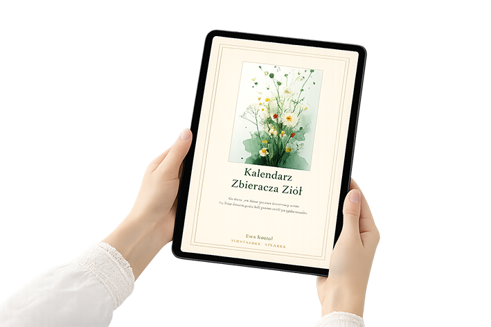 Kalendarz Zbioru Ziół, bezpłatny ebook Ewy Kozioł, Słowiańskiej Zielarki